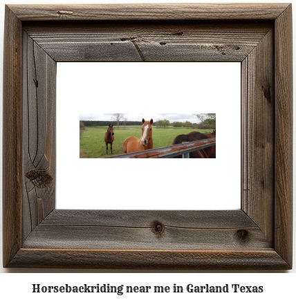 horseback riding near me in Garland, Texas